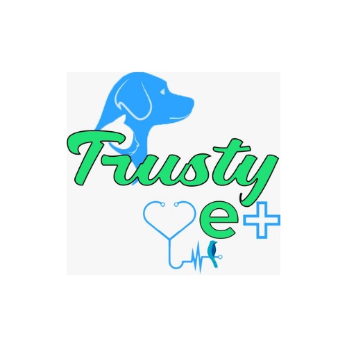 seo-services-top-digital-marketing-company-in-india